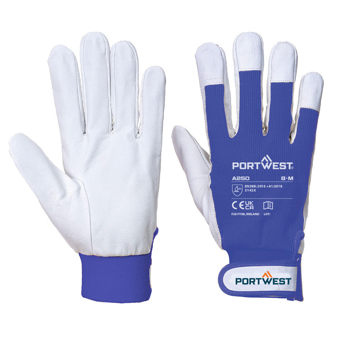 Tergsus Glove  (A250)
