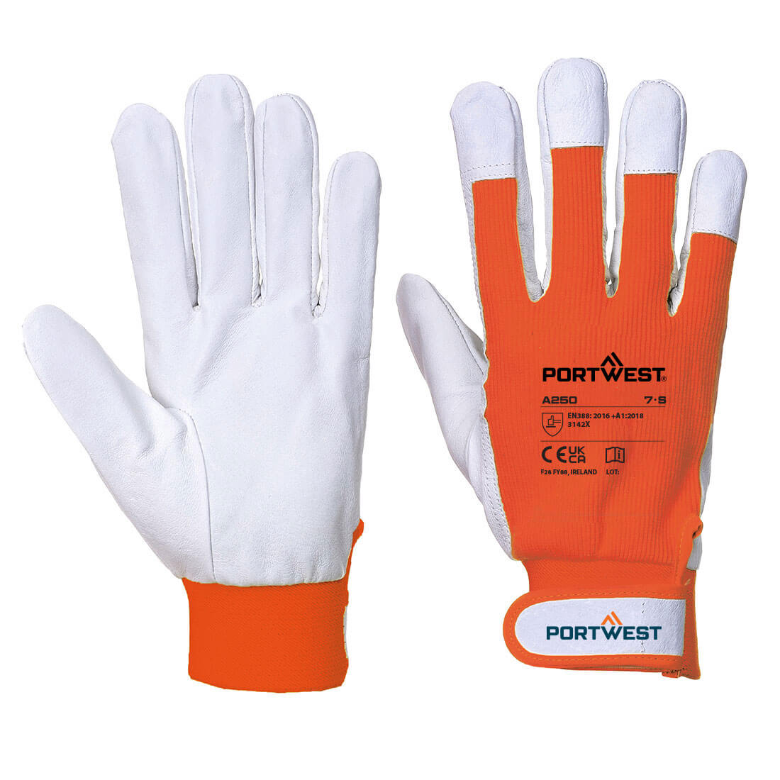 Tergsus Glove  (A250)