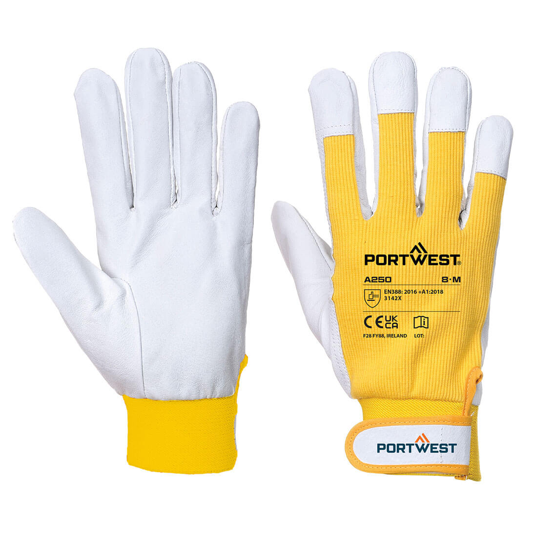Tergsus Glove  (A250)