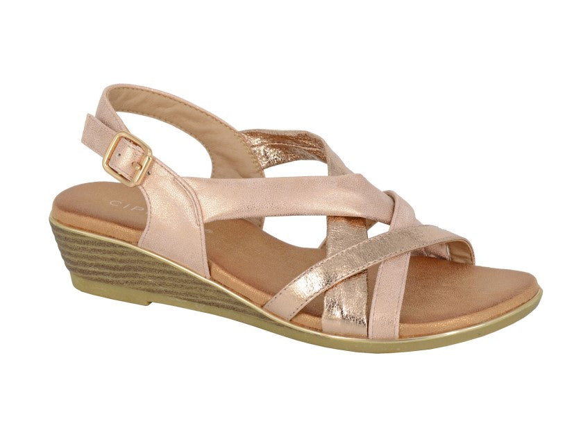 CIPRIATA Two Tone Sling Back Buckle Sandal  (L 469BG)