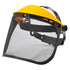 Browguard with Mesh Visor  (PW93)