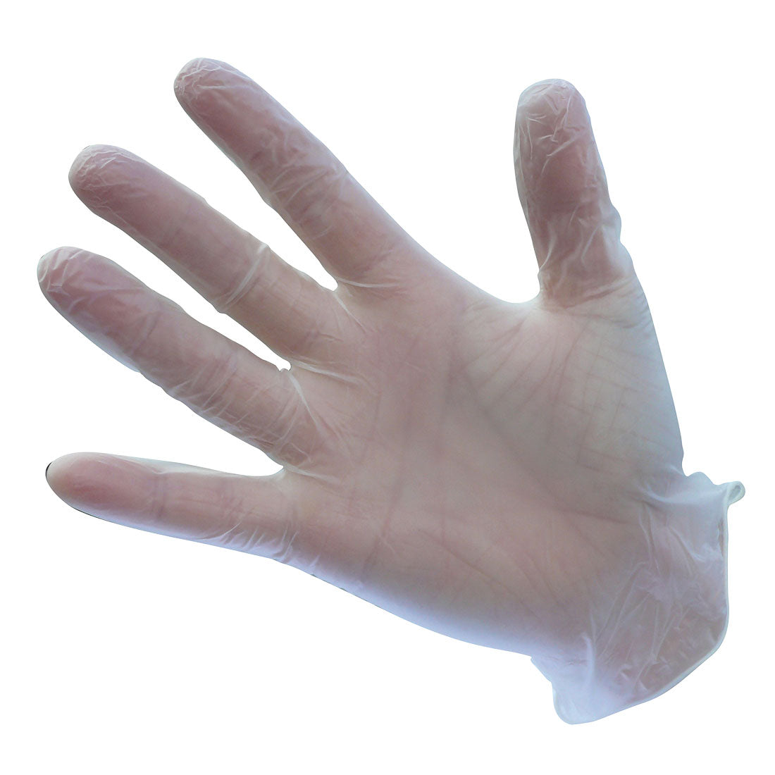 Powder Free Vinyl Disposable Glove  (A905)