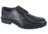 ROAMERS 4 Eye Wing Tip Brogue Gibson  (B 273A)