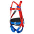 Portwest 2 Point Comfort Harness  (FP14)