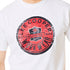 GRAPHIC PRINT TSHIRT EYECATCHING GRAPHICS FOR EVERYDAY STYLE (LCTS300)